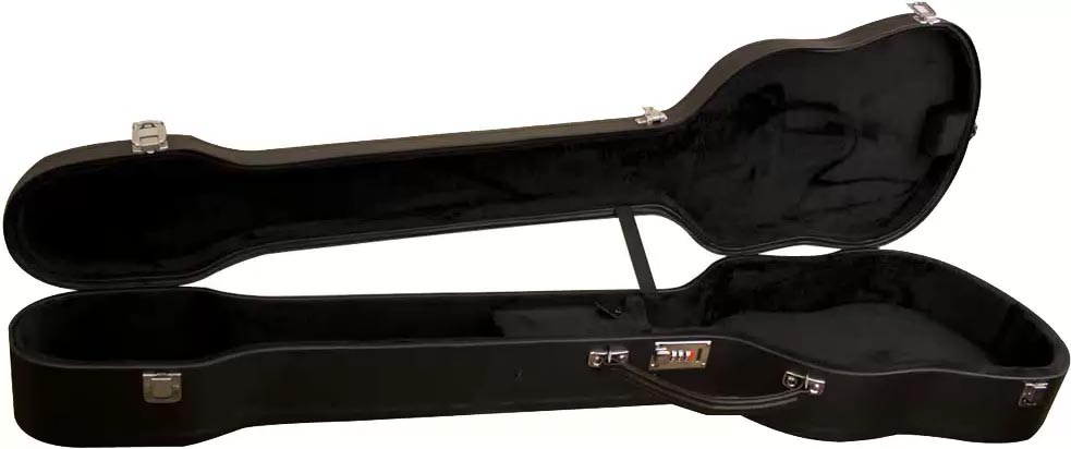 violin bass case