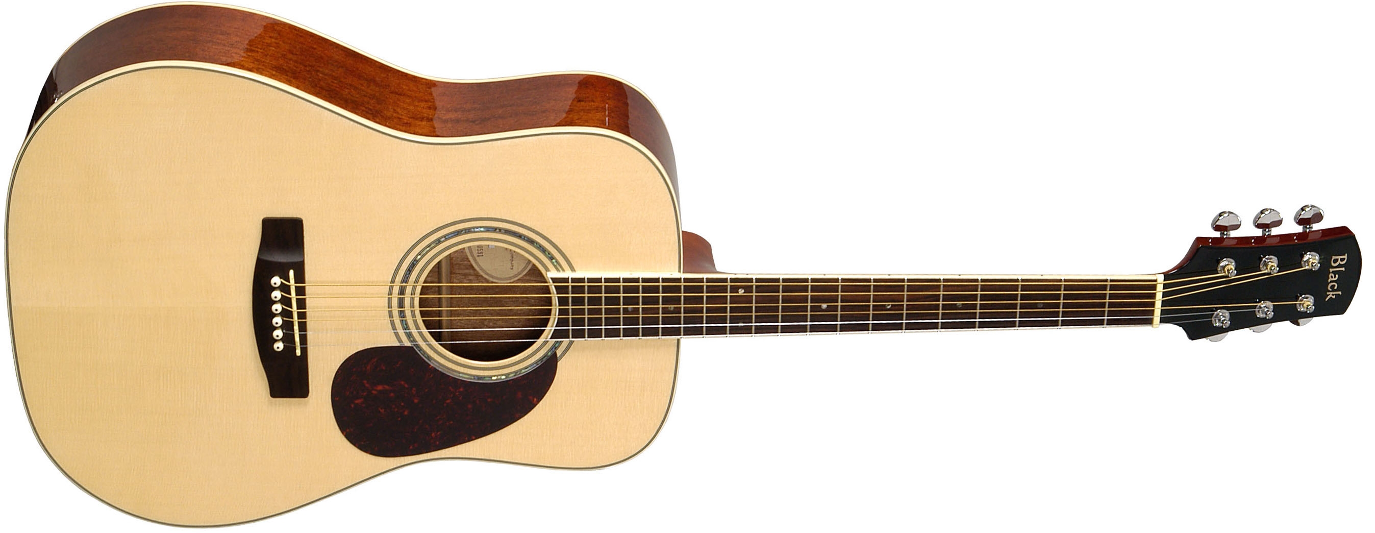 Adam black guitar on sale company