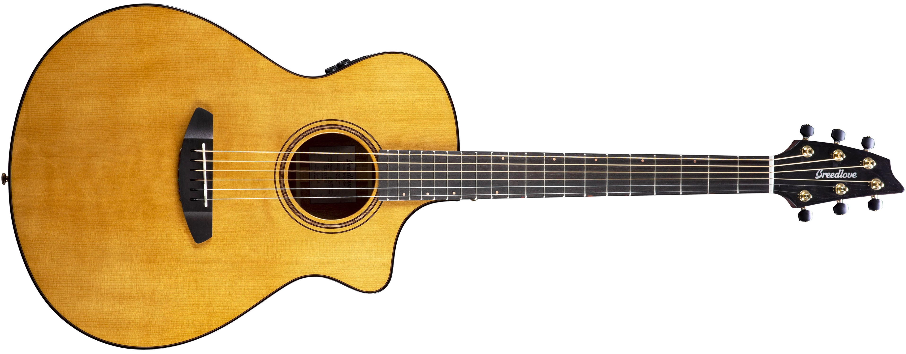 Breedlove artista shop concert