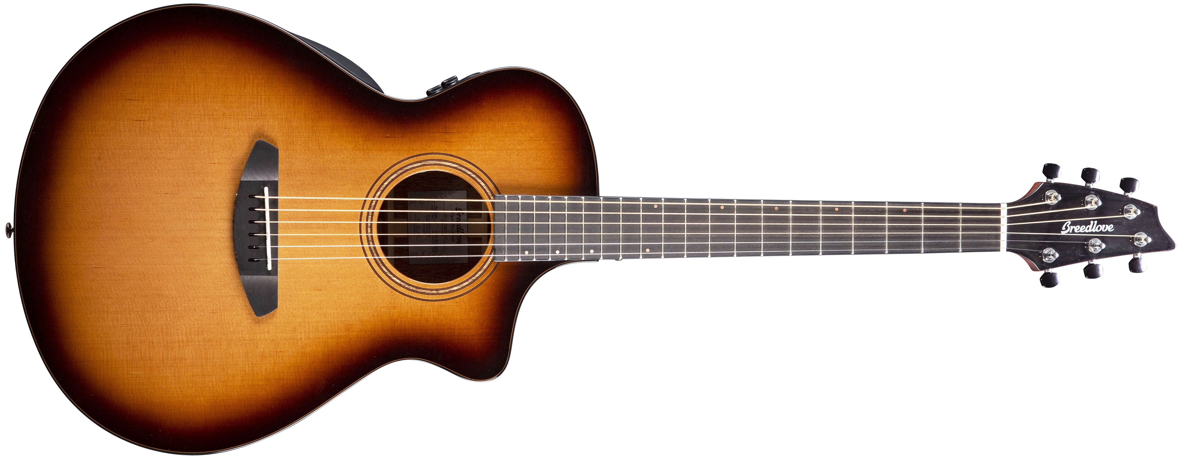 Breedlove deluxe gig bag online