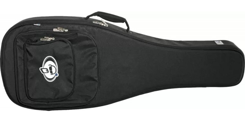 Protection racket shop guitar case