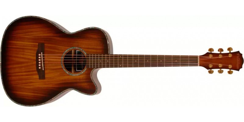 Freshman AB3 Autumn Electro Acoustic Guitar