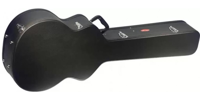 Acoustic bass sale guitar case