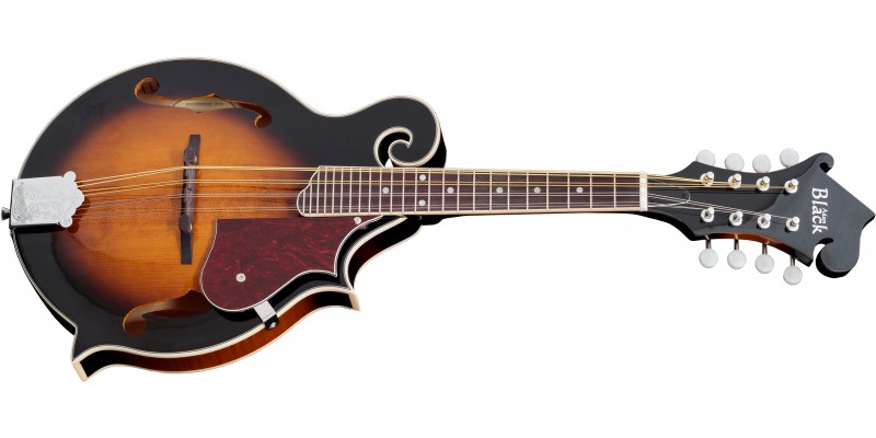 Mandolin guitar 2025