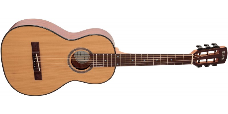 Parlour acoustic sale