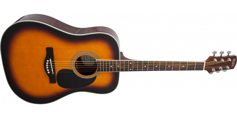 Black and shop brown acoustic guitar