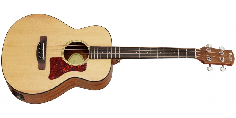 Mini shop bass acoustic