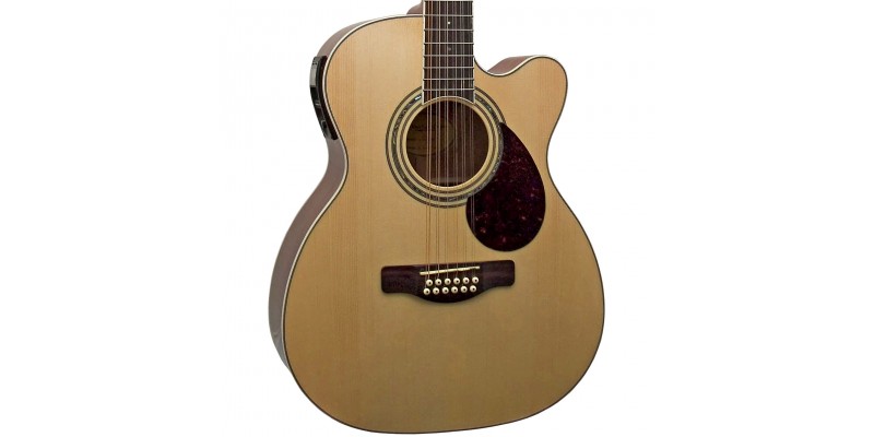 Adam black outlet 12 string guitar