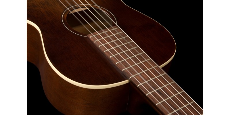 Art & lutherie roadhouse nylon best sale