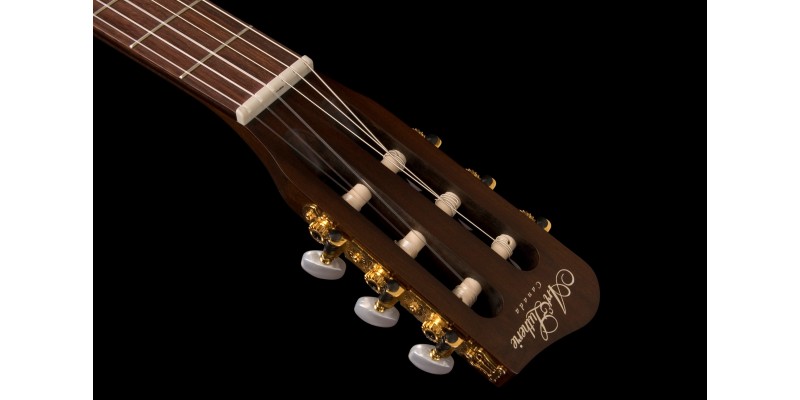 Art and lutherie roadhouse nylon hot sale