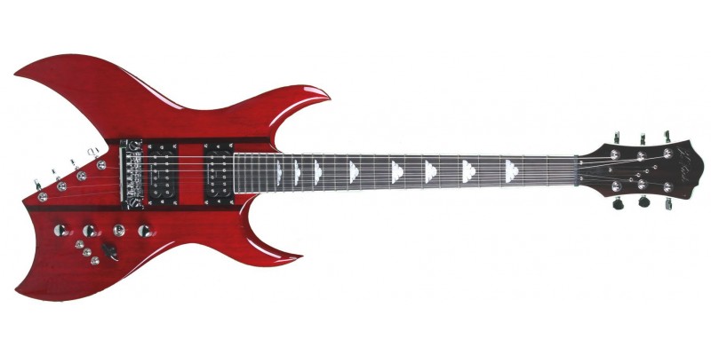 Bc rich 10 string guitar hotsell
