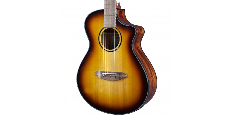 Breedlove discovery companion ce mahogany best sale