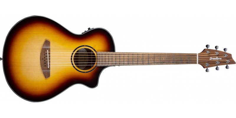 Breedlove discovery companion ce sale