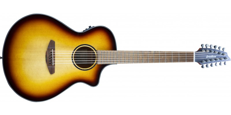 Breedlove Discovery S Concert Edgeburst 12-String CE Sitka Spruce Front