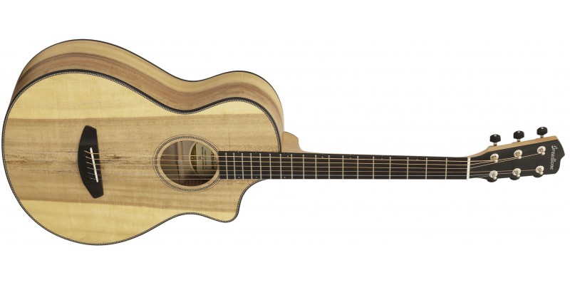 Breedlove concertina ce sale