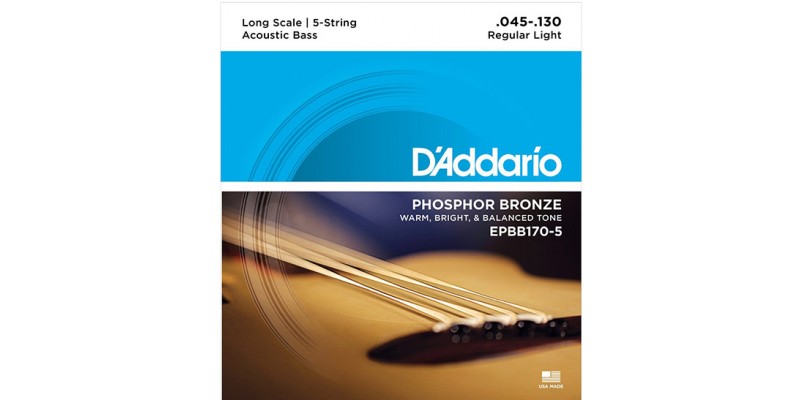 D'Addario EPBB170-5 Phosphor Bronze 5-String Acoustic Bass, Long Scale, 45-130
