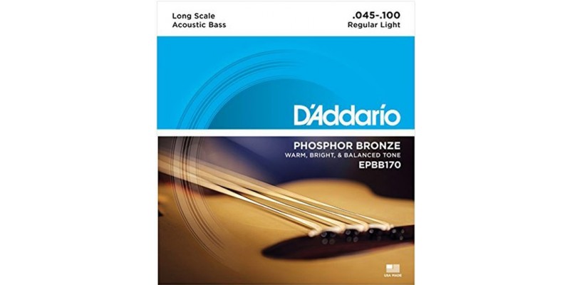 D'Addario EPBB170 Phosphor Bronze Acoustic Bass, Long Scale, 45-100