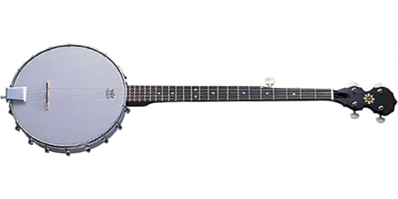 Delta shop blue banjo