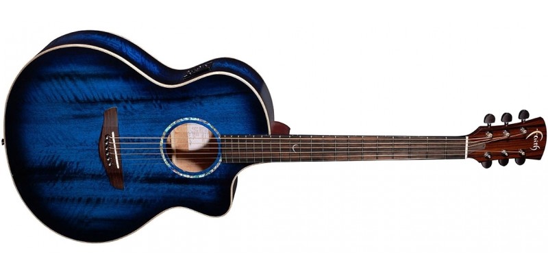 Blue moon acoustic on sale guitar