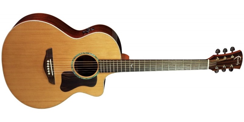 Faith best sale neptune guitar