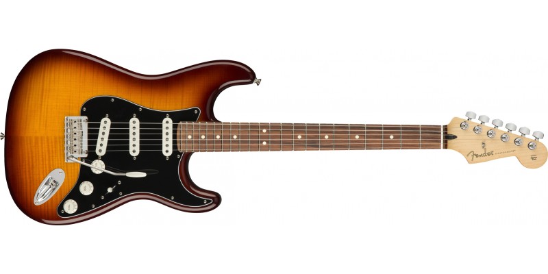 Fender stratocaster player discount series plus top