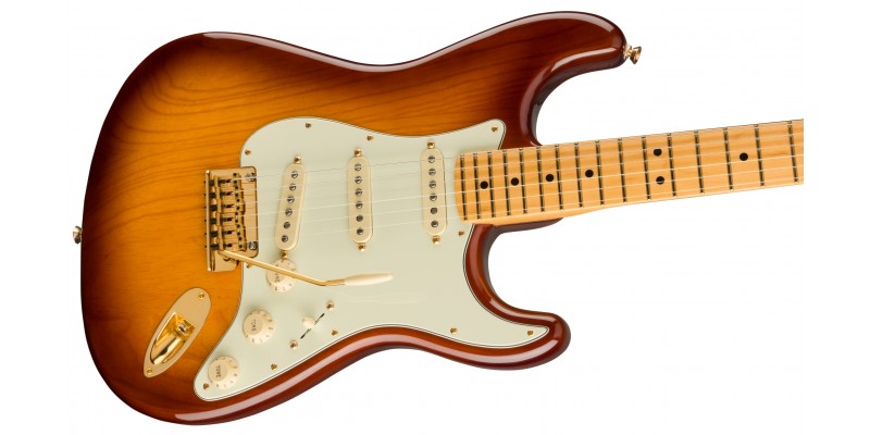 75th sales commemorative stratocaster