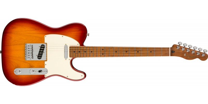 Fender Limited Edition Player Telecaster Sienna Sunburst Roasted