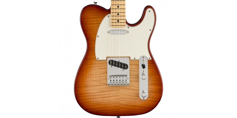 Player telecaster plus top on sale