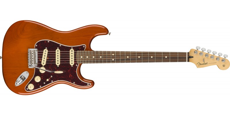 Fender Player Stratocaster Pau Ferro Fingerboard Aged Natural Front
