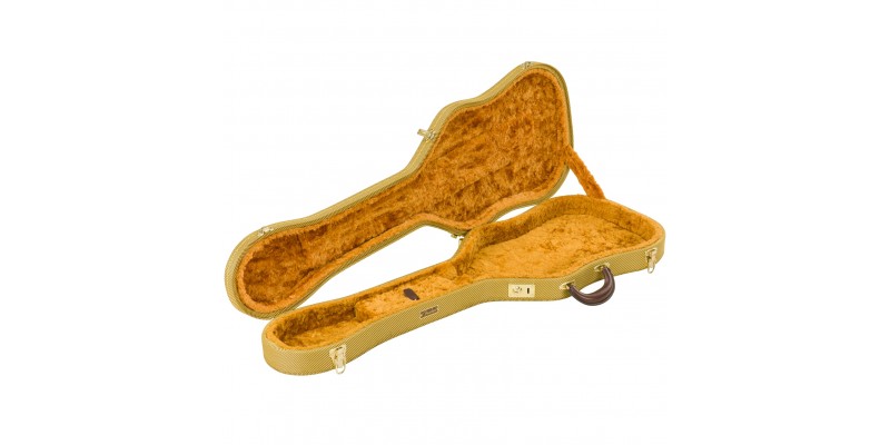 Thermometer guitar top case