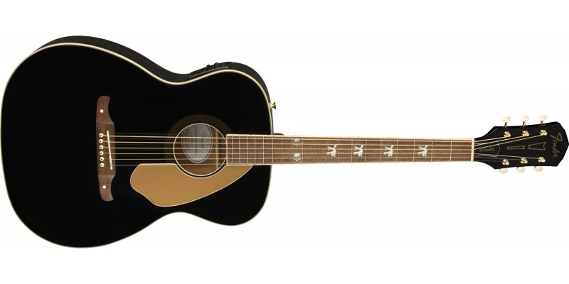 Fender