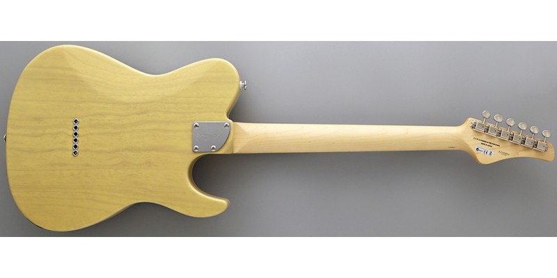 Fgn guitars 2025 left handed