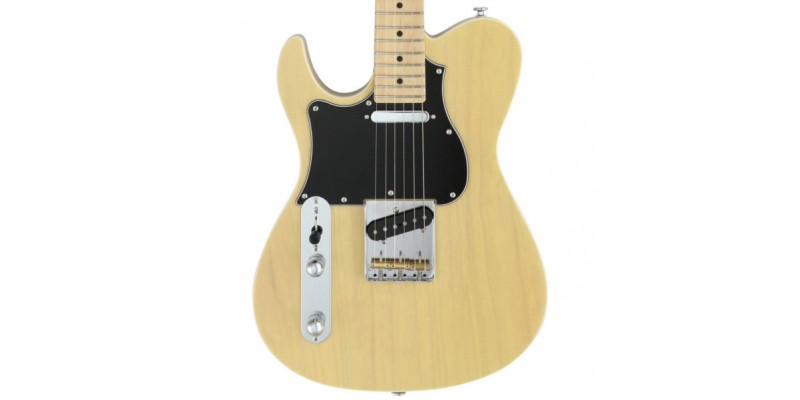 Fgn guitars left shop handed