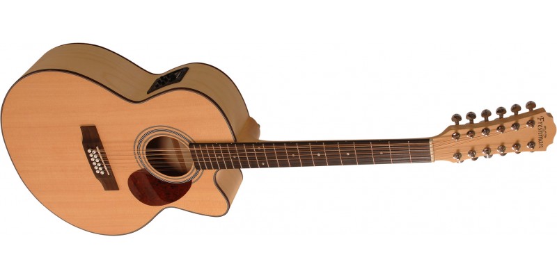 Freshman AP3JEM12 Jumbo 12 String Electro Acoustic