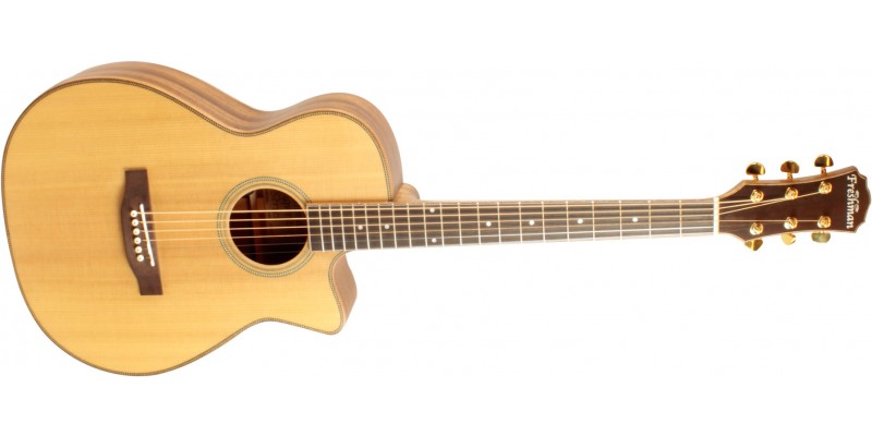 Freshman online acoustic guitar