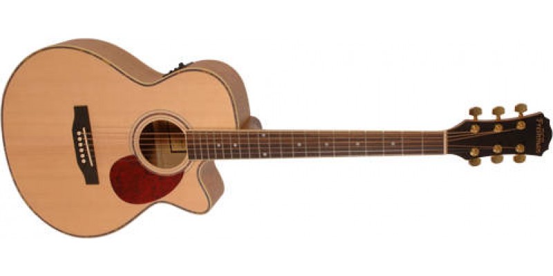 Freshman FA1AM Guitar Maple Folk Cutaway Free Hard Case