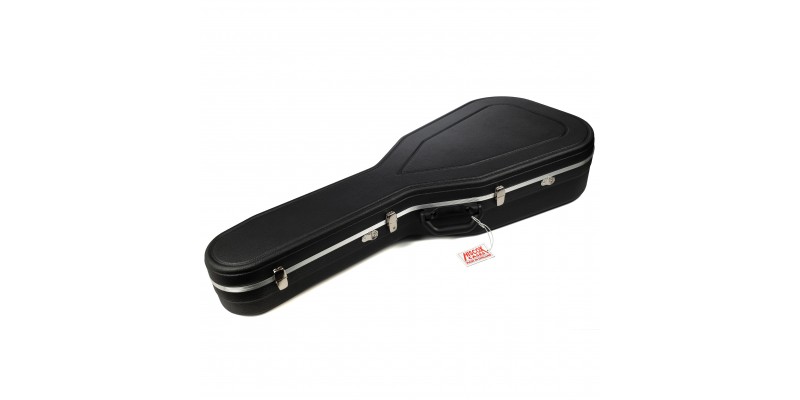 Hiscox shop dreadnought case