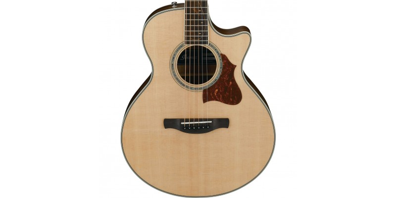 Ibanez ae205jr cheap