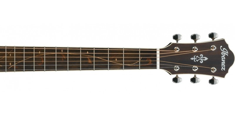 Ibanez ae205jr 2025