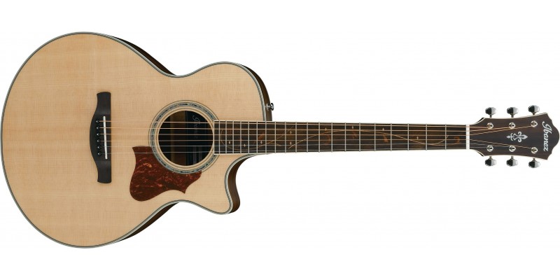 Ibanez AE205JR Open Pore Natural front