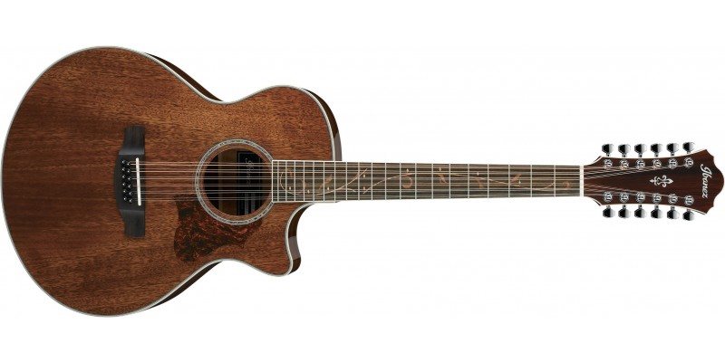 Ibanez AE2412 12 String Natural High Gloss Front