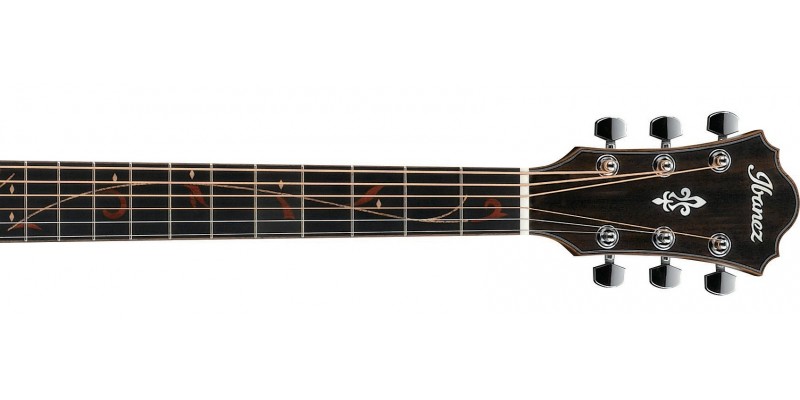 Ibanez ae255bt sales