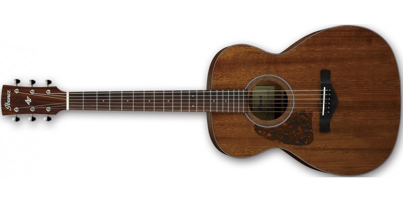 Ibanez-AVC9L-Artwood-Vintage-Left-Handed-Acoustic-Guitar-Front