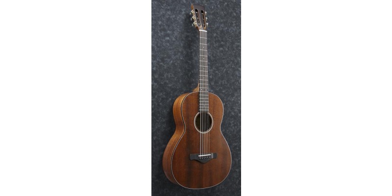 Ibanez artwood vintage avn9 store