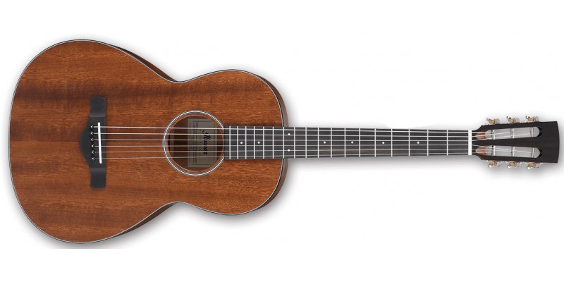 Ibanez AVN9-OPN Artwood Vintage Thermo Aged Parlour