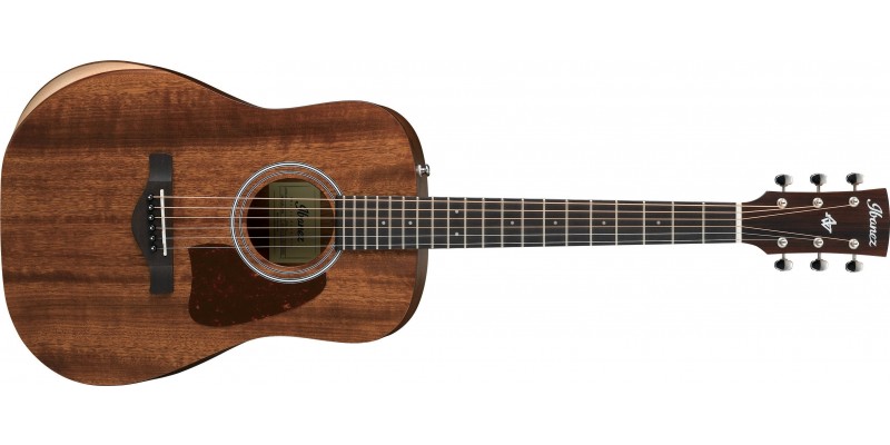 Ibanez AW54JR Open Pore Natural Front
