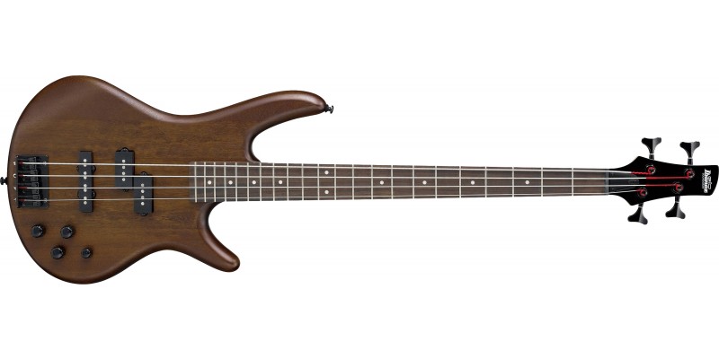 Ibanez wnf top