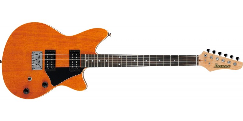 Ibanez rc220 top
