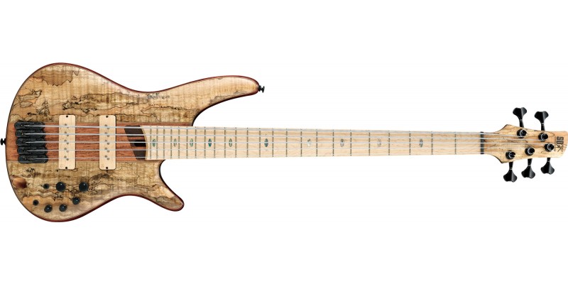 Ibanez SR5SMLTD Spalted Maple Limited Edition 5 String Bass