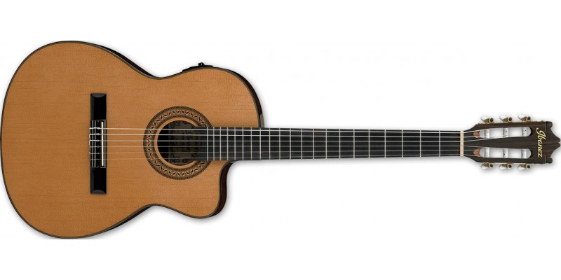 Ibanez GA5TCE Amber Electro Classical Guitar Front